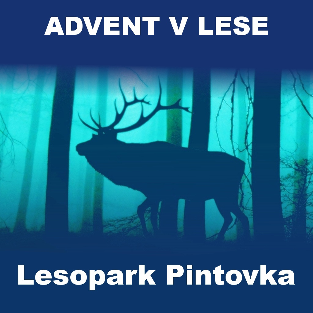 ADVENT V LESE