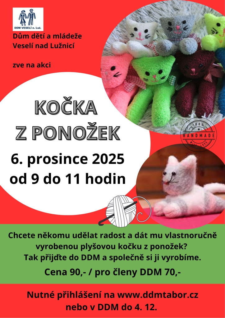 Kočka z ponožek