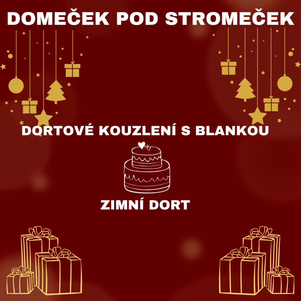 DORTOVÉ KOUZLENÍ S BLANKOU - Zimní dort s figurkami