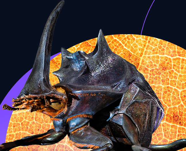 Výlet na výstavu Megabrouci