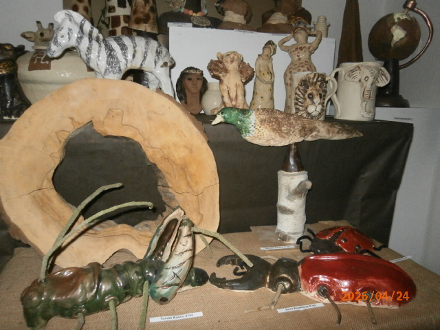 P4248258.JPG