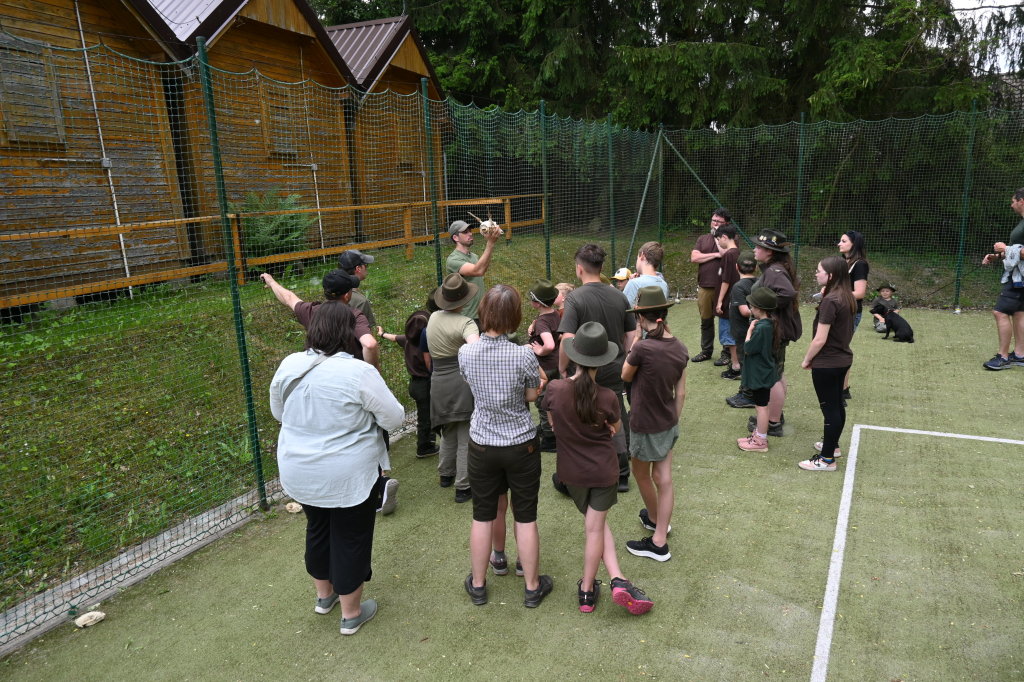 DSC_3346.JPG