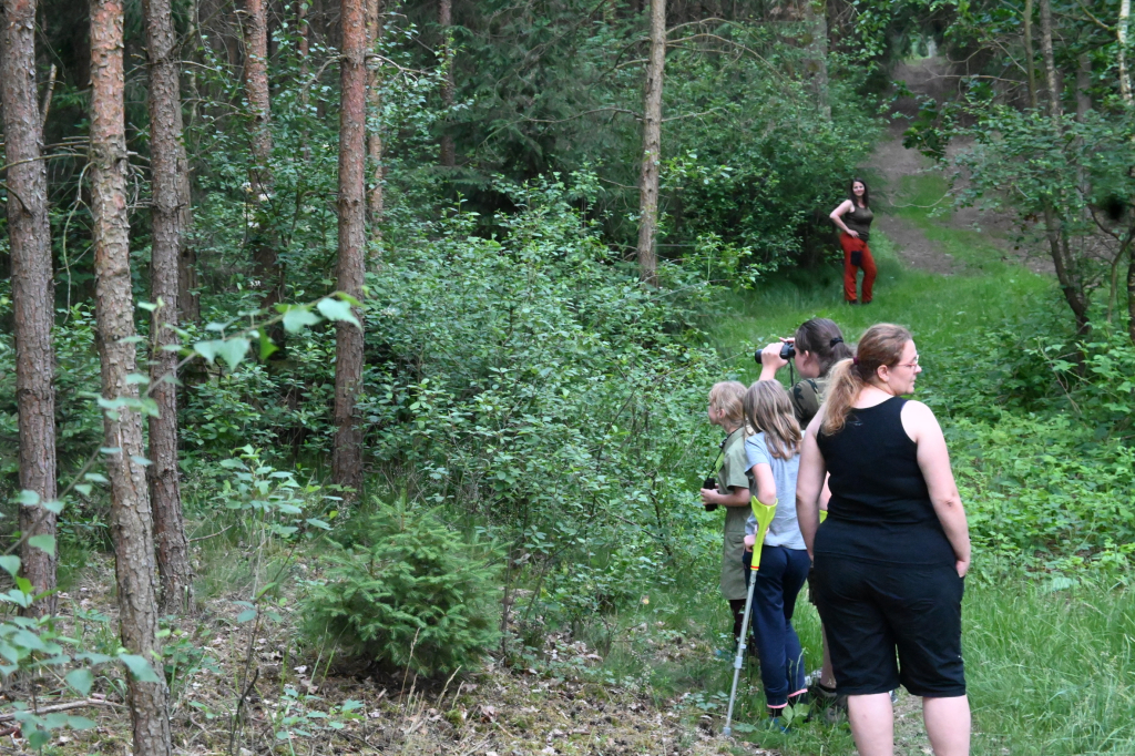 DSC_3425.JPG