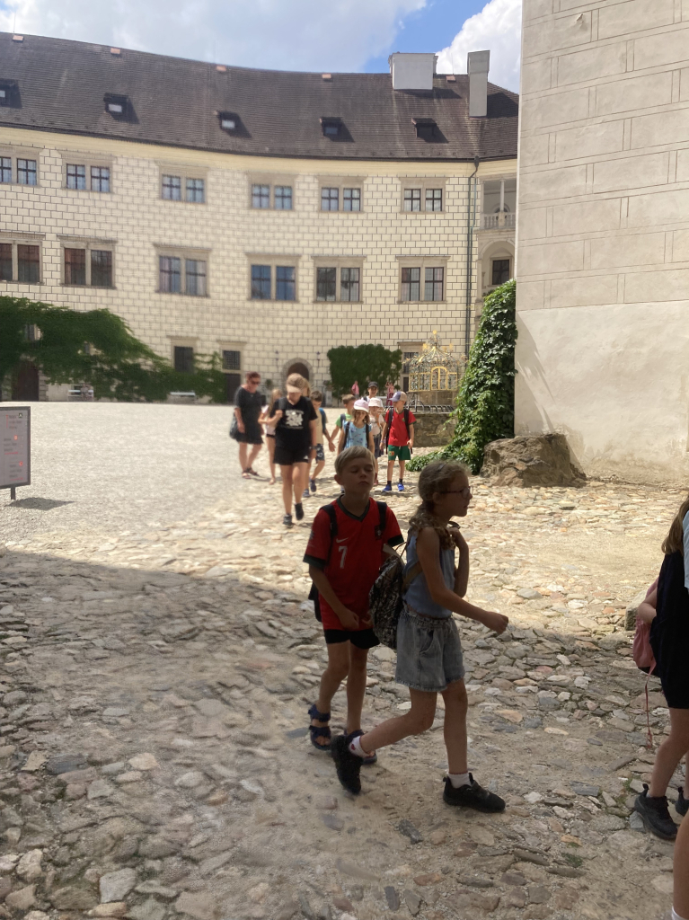IMG_2255.jpeg