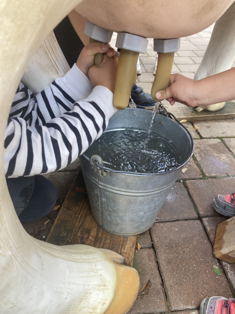 IMG_2336.jpeg