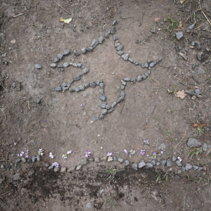 DSC_1765.JPG
