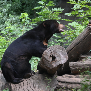 DSC_1955.JPG