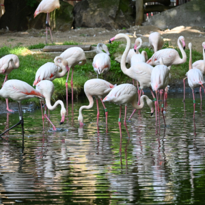 DSC_1958.JPG