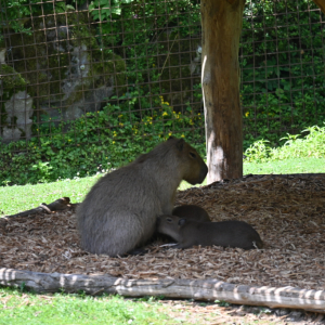 DSC_1967.JPG