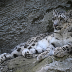 DSC_1972.JPG