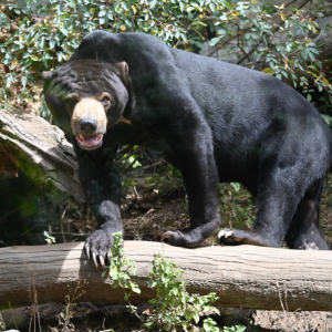 DSC_1956.JPG