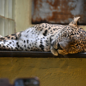 DSC_2014.JPG