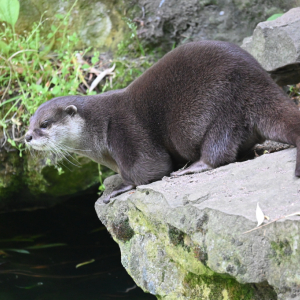 DSC_2007.JPG
