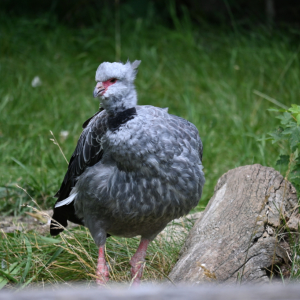 DSC_2038.JPG