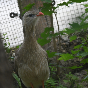 DSC_2046.JPG