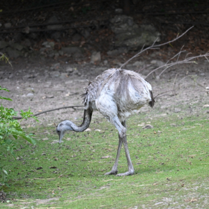 DSC_2034.JPG