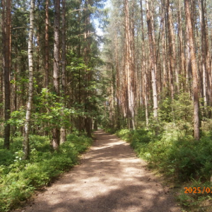 P7038060.JPG