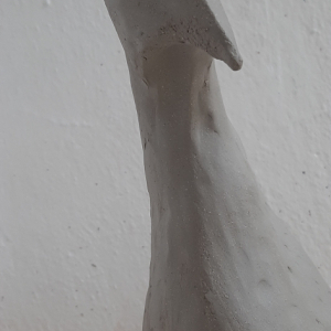 20251011_114717.jpg