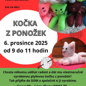 Kočka z ponožek