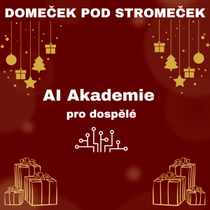 AI Akademie pro dospělé