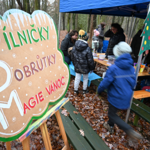 Advent v zeleném - Dílničky Dobrůtky Magie Vánoc