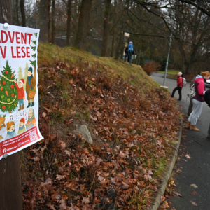 Advent v lese 2025