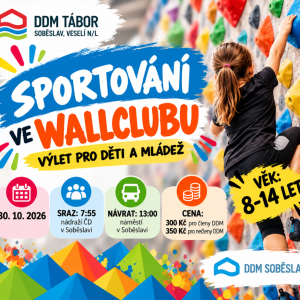 Sportování ve Wallclubu