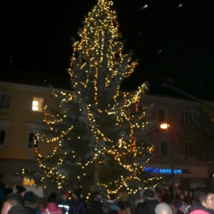 Nasvícený vánoční strom na náměstí Republiky